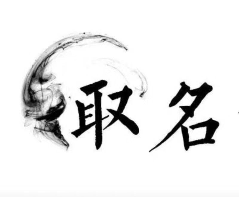  茌平宝宝取名 大师一对一人工起名